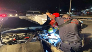 Bariyerlere saplanan otomobilden burnu kanamadan çıktı