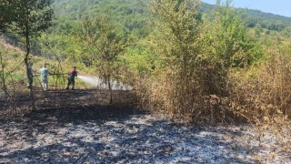 Bartında anız yangını ormana sıçramadan söndürüldü