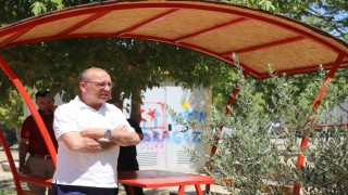 Başkan Akın yeşil alanlarda incelemelerde bulundu
