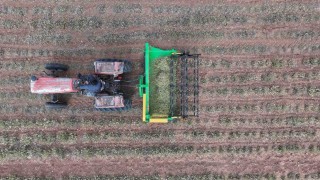 Başkan Altay: Kuraklığa dayanıklı bitki destekleriyle çiftçimize yeni fırsatlar sunuyoruz