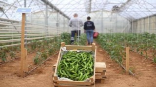 Başkan Çerçioğlunun tarıma ve üreticilere destekleri sürüyor