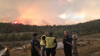 Başkan Dilsizden Osmanelindeki yangınına ilişkin açıklama