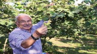 Başkan Gülerden Ferreroya karşı tarihi fındık mücadelesi: Bu bir milli duruştur