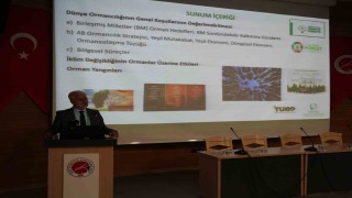 Batı Karadeniz Bölgesinin 20 yıllık ormancılık stratejisi bu çalıştayda belirlendi