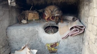 Batmanda ekmek tandırında uyuşturucu ele geçirildi