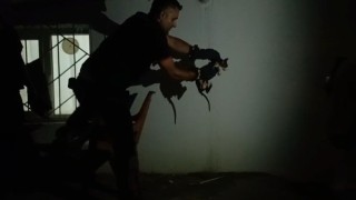 Batmanda lavabo borusuna sıkışan kediyi itfaiye kurtardı