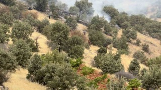 Batmanda örtü ve orman yangında bin dönüm alan zarar gördü