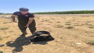 Batmanda su kanalına düşen yavru köpek kurtarıldı