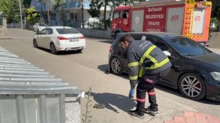 Batmanda tavan arasında sıkışan kedi kurtarıldı