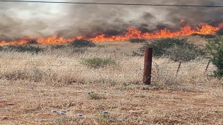 Batmandaki orman yangını kontrol altına alındı