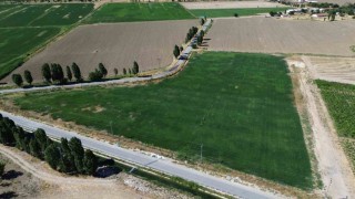 Battalgazide yerli üretimle yeşil alan seferberliği