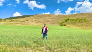 Bayburtta yem bitkileri için saha çalışmaları sürüyor