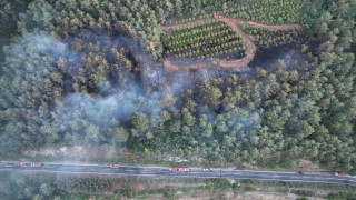 Bayramiçteki orman yangını kontrol altına alındı