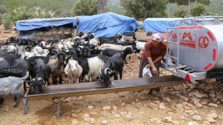 Belediyenin sulama tankeri desteği Mersindeki Yörüklerin yüzünü güldürdü