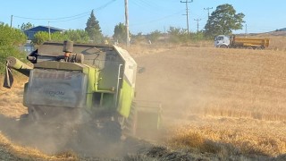 Belediyenin tarlasından ihtiyaç sahiplerinin sofrasına