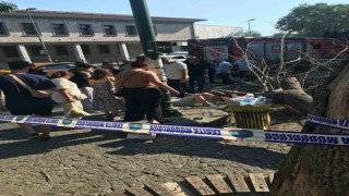 Beşiktaşta kaldırımda giden 3 kişinin üzerine ağaç devrildi