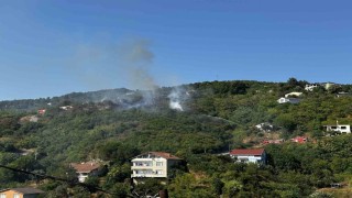 Beykozda bulunan ormanlık alanda yangın çıktı. Olay yerine çok sayıda itfaiye ekibi sevk edildi.