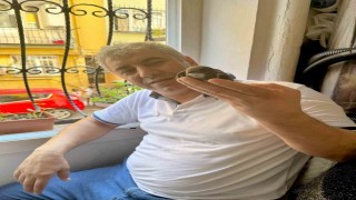 Beyoğlunda 6 yıl önce tedavisini yaptığı ebabil kuşu yeniden penceresine kondu