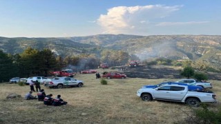 Beypazarında 15 dönüm ekili alan yandı