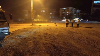 Beypazarında kümes yangını: 41 tavuk telef oldu