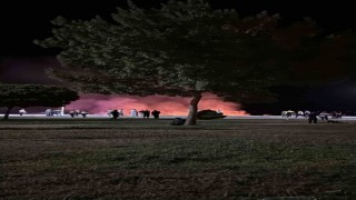 Beyşehir Gölü kenarında korkutan yangın