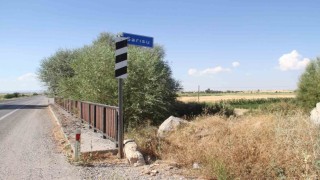 Beyşehir Gölünü besleyen ana kaynaklar da kurudu