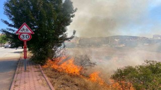 Beyşehirde alevler bahçelere ulaşmadan söndürüldü