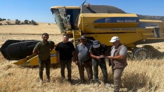 Beyşehirde hububat alanlarında dane kaybının önüne geçebilmek için seferber oldular
