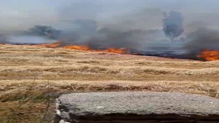 Beyşehirde korkutan anız yangını, evlere sıçramadan söndürüldü