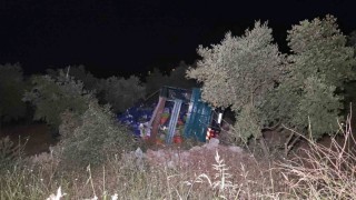 Biber yüklü kamyon zeytinliğe uçtu: 1 yaralı