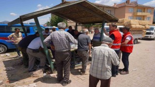 Bilecik Belediyesi çalışanları yangın bölgesindeki çalışmalarını sürdürüyor