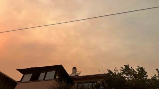 Bilecike kül yağıyor