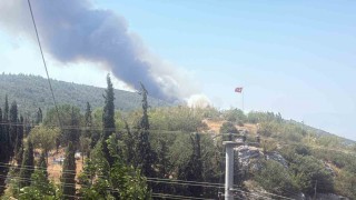 Bilecikte alevler tavuk çiftliklerine dayandı