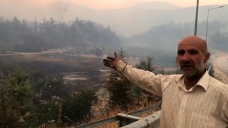 Bilecikte alevler yeniden yükseldi, zeytinliği yanan köylü o anları anlattı