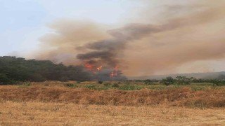 Bilecikte alevler yeniden yükselmeye başladı