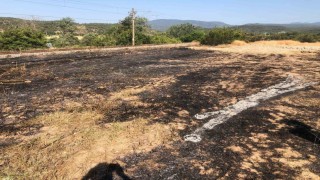 Bilecikte anız yangını büyümeden söndürüldü