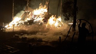 Bilecikte bir orman yangını daha başladı