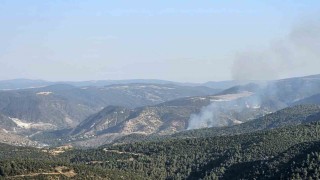 Bilecikte çıkan orman yangını kontrol altına alındı