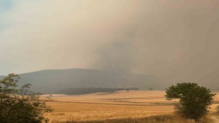 Bilecikte orman yangını kısmen kontrol alındı