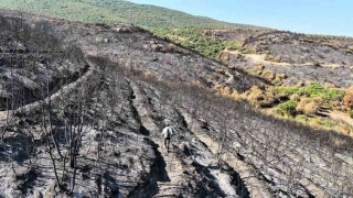 Bilecikte orman yangını sonrası yürek burkan manzara havadan görüntülendi