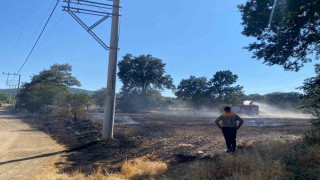 Bilecikte ormanlık alana sıçrayan yangına müdahale ediliyor