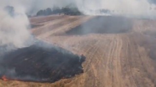 Bilecikte tarım arazisinde çıkan yangın söndürüldü