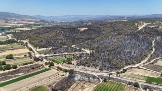 Bilecikte yanan ormanlık ve kırsal alan havadan görüntülendi