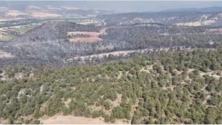 Bilecikte yangın bölgesi havadan görüntülendi