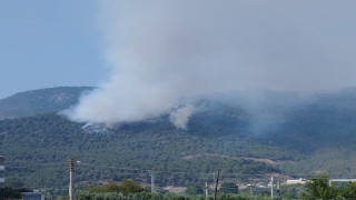 Bilecikteki orman yangınında alevler Borcak köyüne doğru ilerliyor