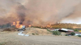 Bilecikteki orman yangınında alevler Kazancı köyüne ulaştı