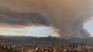 Bilecikteki orman yangınında son durum