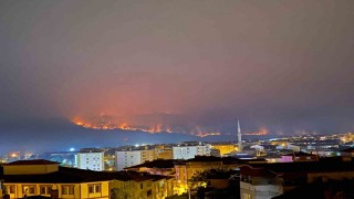 Bilecikteki yangında alevler ilçe merkezine doğru ilerliyor