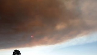 Bilecikteki yangının dumanları Bursaya ulaştı