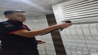 Binanın havalandırma boşluğunda mahsur kalan karga kurtarıldı